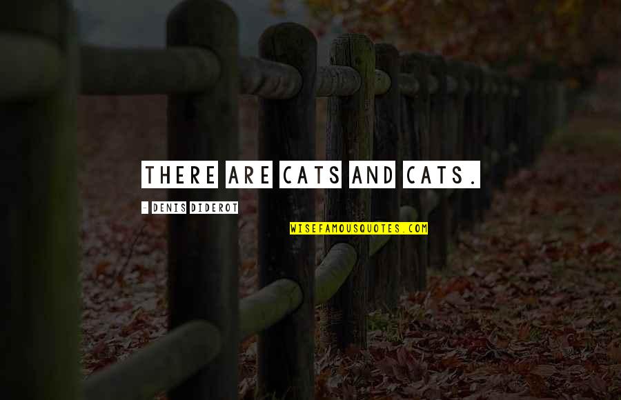 Calzini Donna Quotes By Denis Diderot: There are cats and cats. Calzini Donna Quotes By Denis Diderot: There are cats and cats.