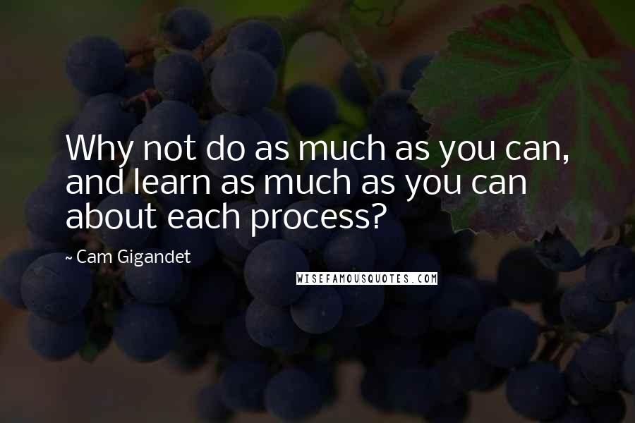 Cam Gigandet quotes: Why not do as much as you can, and learn as much as you can about each process?