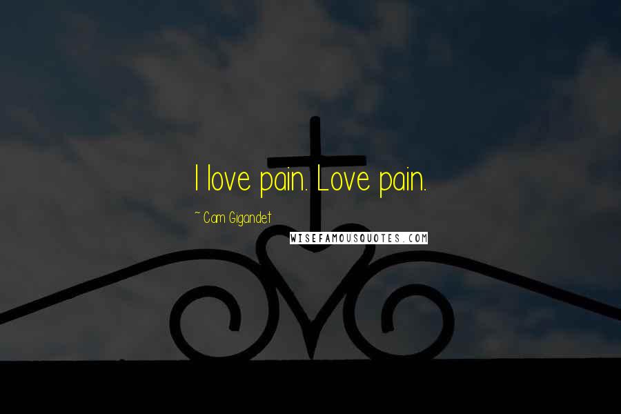Cam Gigandet quotes: I love pain. Love pain.