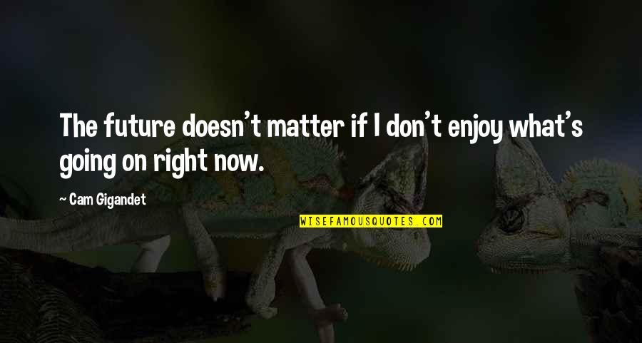 Cam Gigandet Quotes By Cam Gigandet: The future doesn't matter if I don't enjoy