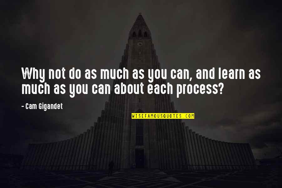 Cam Gigandet Quotes By Cam Gigandet: Why not do as much as you can,