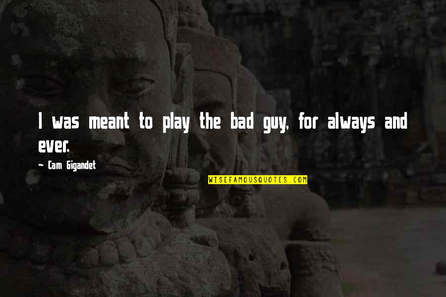 Cam Gigandet Quotes By Cam Gigandet: I was meant to play the bad guy, Cam Gigandet Quotes By Cam Gigandet: I was meant to play the bad guy,