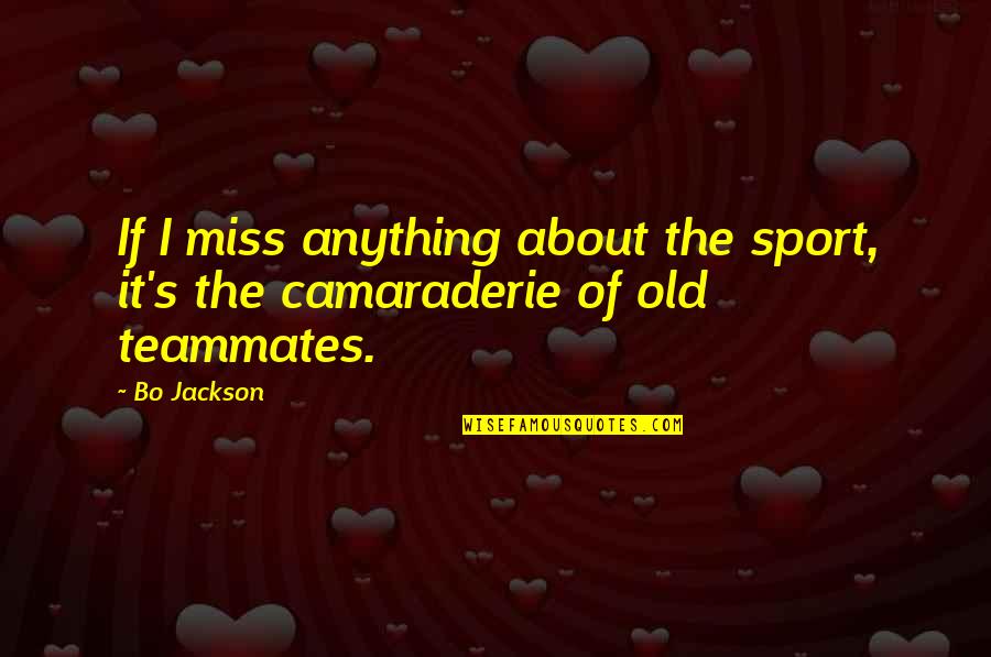 Camaraderie In Sports Quotes By Bo Jackson: If I miss anything about the sport, it's