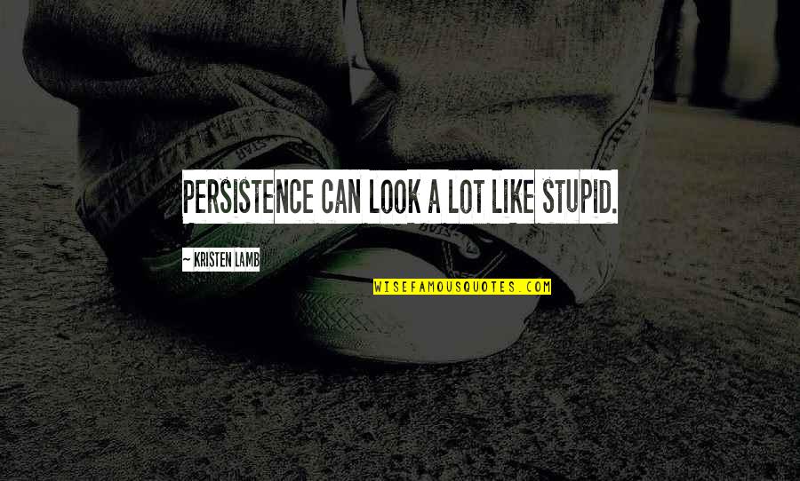 Camastra Sicily Quotes By Kristen Lamb: Persistence can look a lot like stupid.