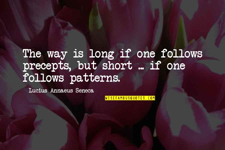 Cambalache Quotes By Lucius Annaeus Seneca: The way is long if one follows precepts,