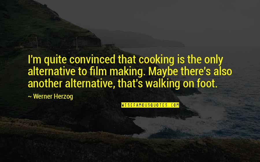Cambiare Il Mondo Quotes By Werner Herzog: I'm quite convinced that cooking is the only