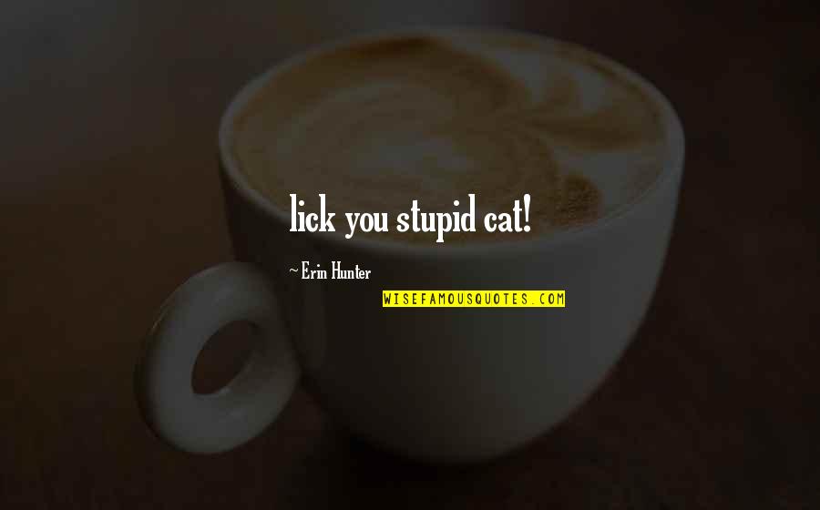 Cambier De Nil Quotes By Erin Hunter: lick you stupid cat! Cambier De Nil Quotes By Erin Hunter: lick you stupid cat!