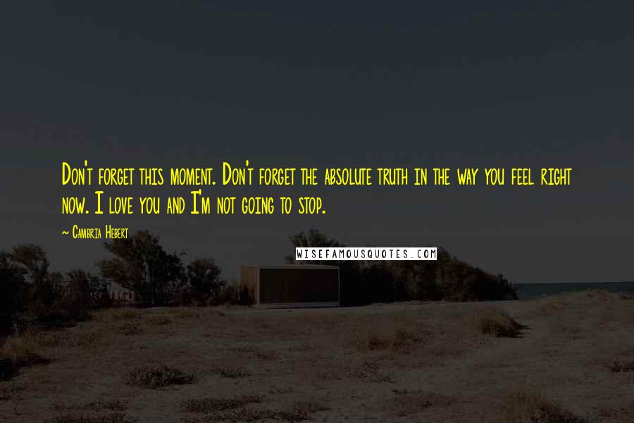 Cambria Hebert quotes: Don't forget this moment. Don't forget the absolute truth in the way you feel right now. I love you and I'm not going to stop.