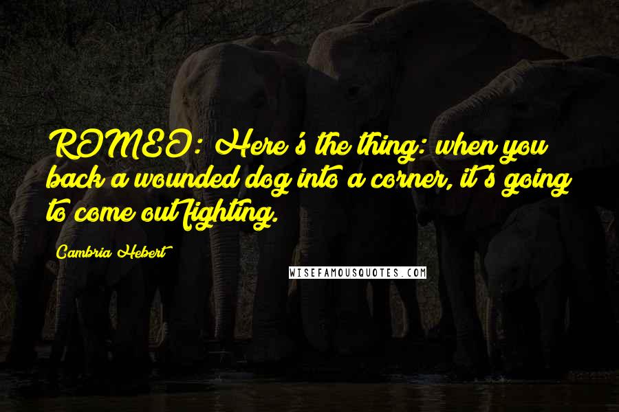 Cambria Hebert quotes: ROMEO: Here's the thing: when you back a wounded dog into a corner, it's going to come out fighting.