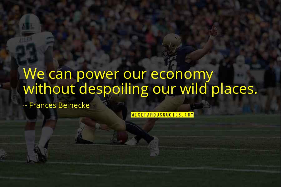 Cambric Cotton Quotes By Frances Beinecke: We can power our economy without despoiling our