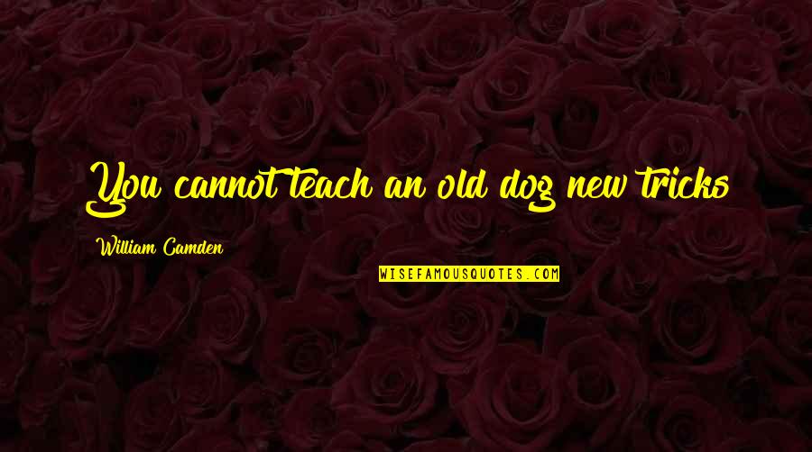 Camden Quotes By William Camden: You cannot teach an old dog new tricks