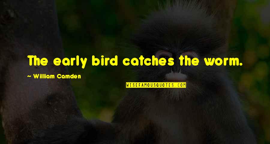 Camden Quotes By William Camden: The early bird catches the worm.