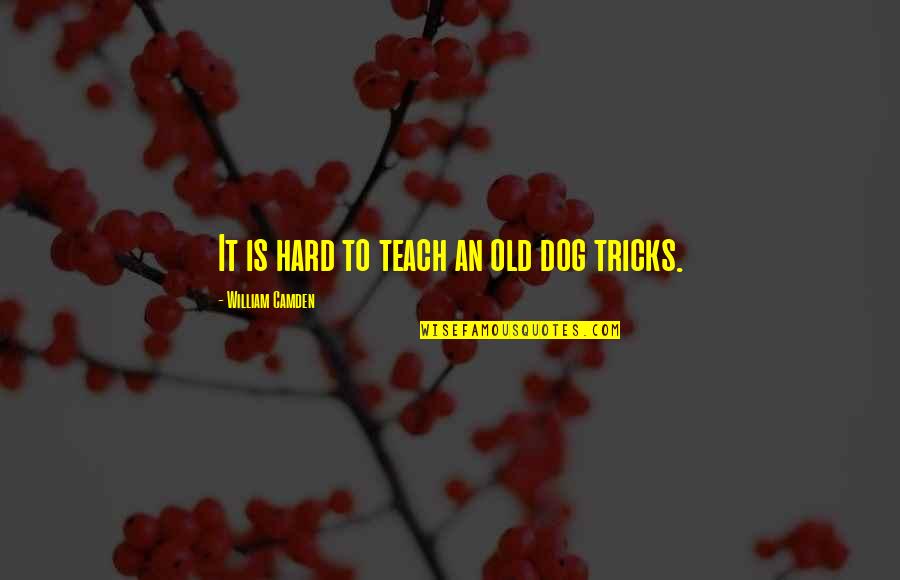 Camden Quotes By William Camden: It is hard to teach an old dog