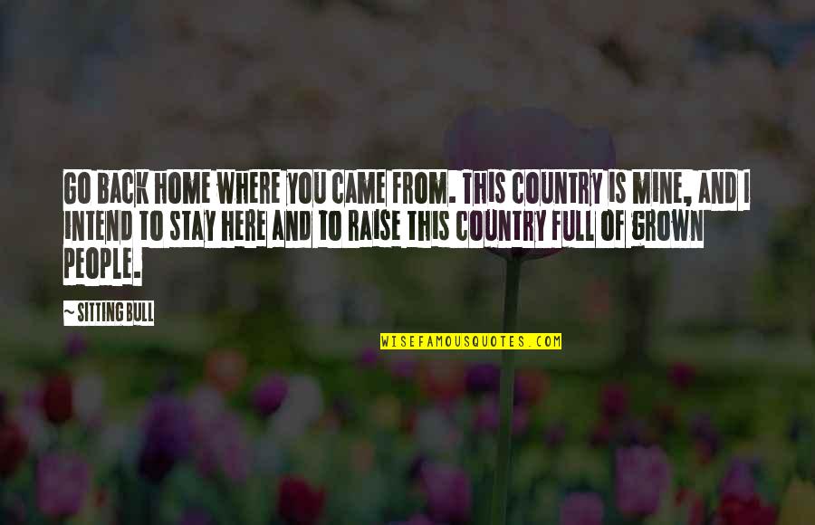 Came Back Home Quotes By Sitting Bull: Go back home where you came from. This