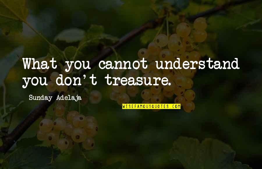 Camella Homes Quotes By Sunday Adelaja: What you cannot understand you don't treasure.