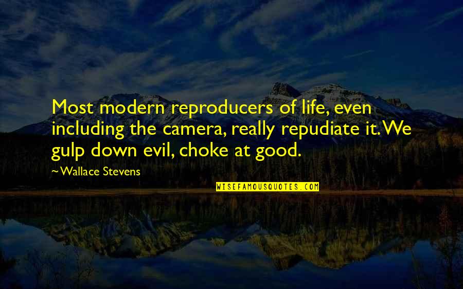 Camera And Life Quotes By Wallace Stevens: Most modern reproducers of life, even including the