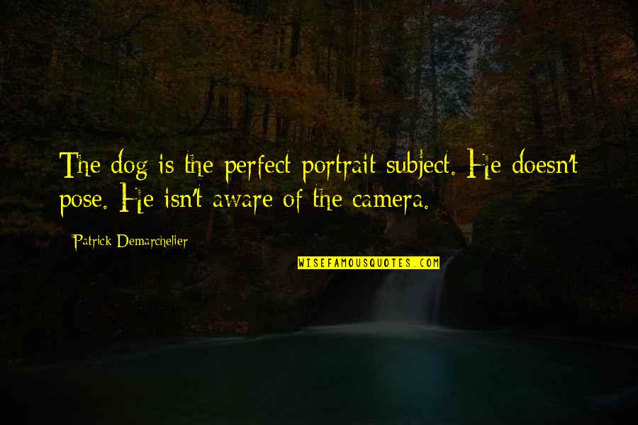 Camera Pose Quotes By Patrick Demarchelier: The dog is the perfect portrait subject. He