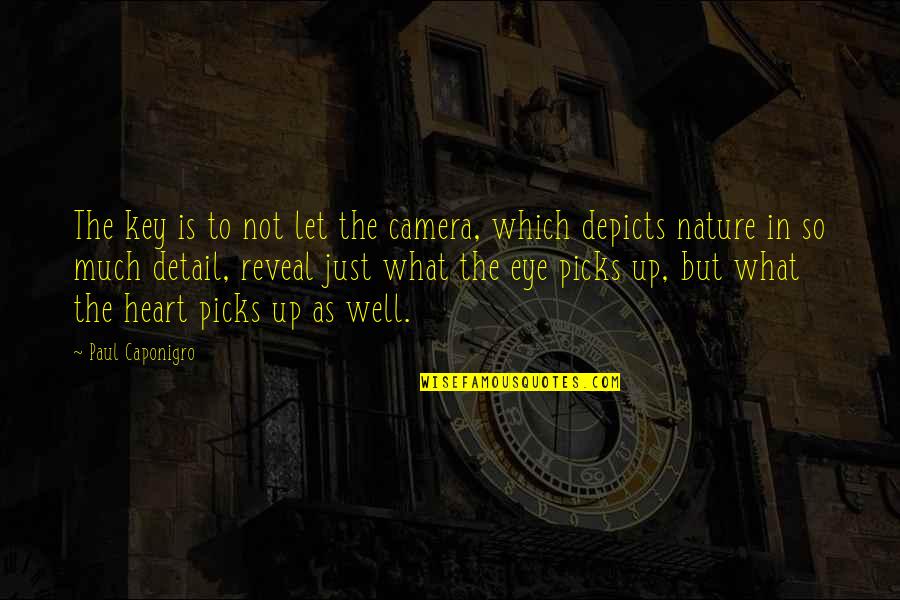 Camera Quotes By Paul Caponigro: The key is to not let the camera,