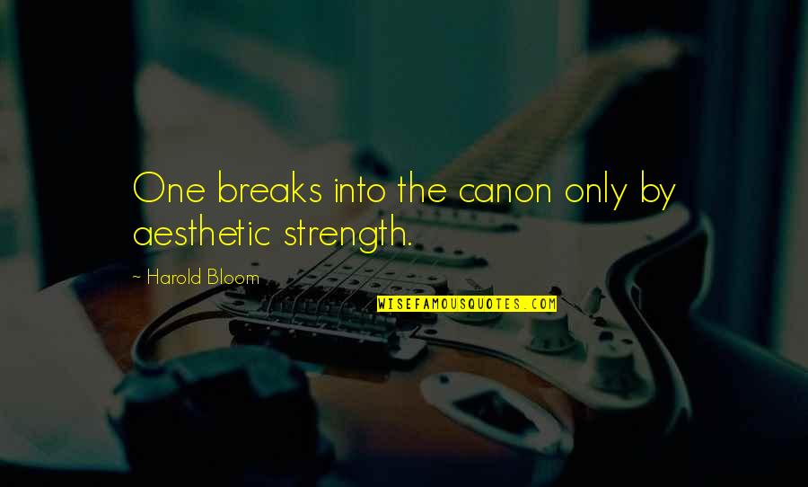 Camerano Barbera Quotes By Harold Bloom: One breaks into the canon only by aesthetic
