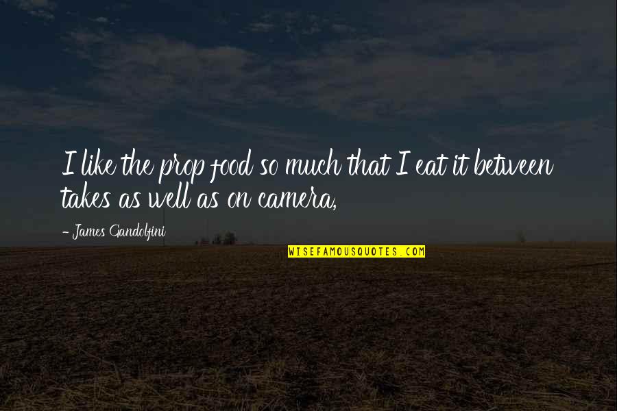 Cameras Quotes By James Gandolfini: I like the prop food so much that