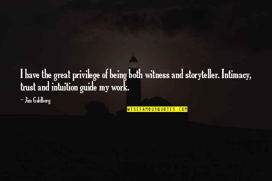 Camere Video Quotes By Jim Goldberg: I have the great privilege of being both Camere Video Quotes By Jim Goldberg: I have the great privilege of being both