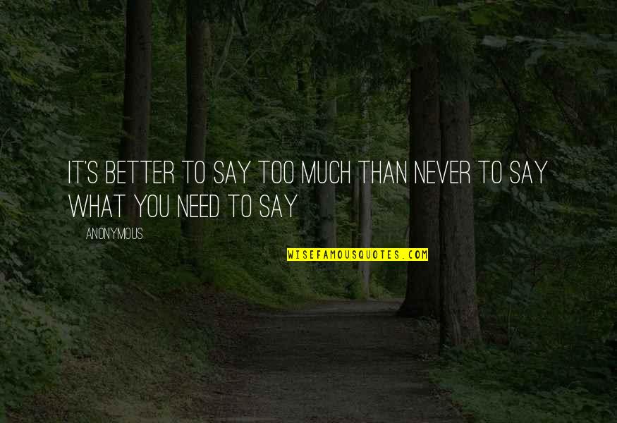 Camerino Quotes By Anonymous: It's better to say too much than never