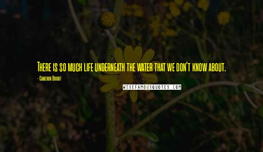 Cameron Bright quotes: There is so much life underneath the water that we don't know about.