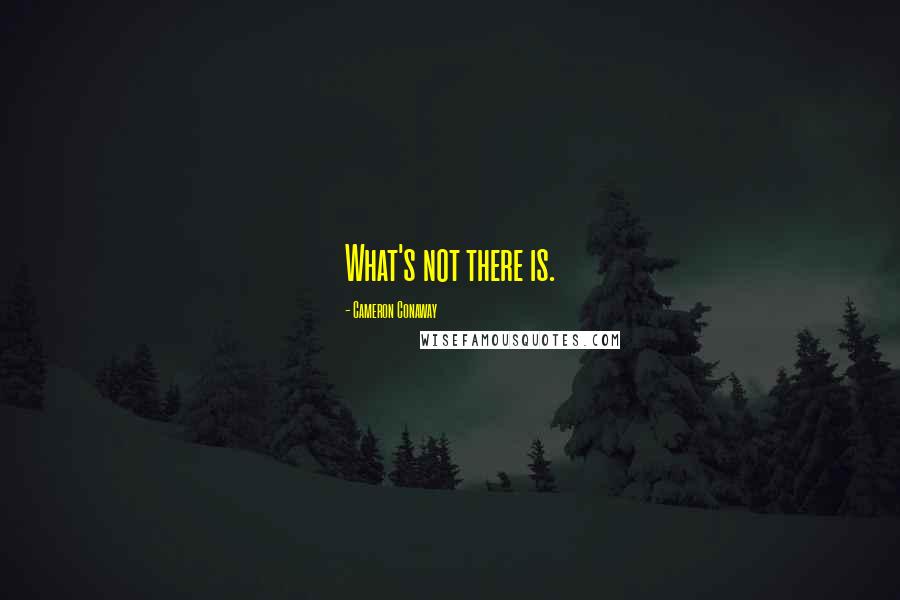 Cameron Conaway quotes: What's not there is.
