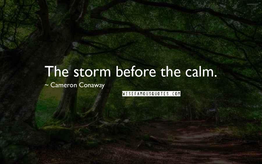 Cameron Conaway quotes: The storm before the calm.