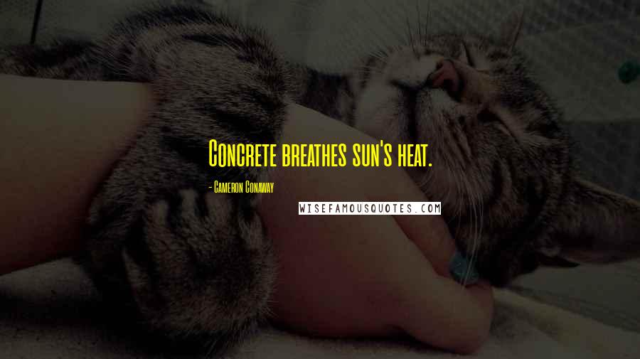 Cameron Conaway quotes: Concrete breathes sun's heat.