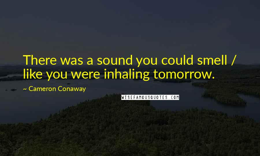 Cameron Conaway quotes: There was a sound you could smell / like you were inhaling tomorrow.