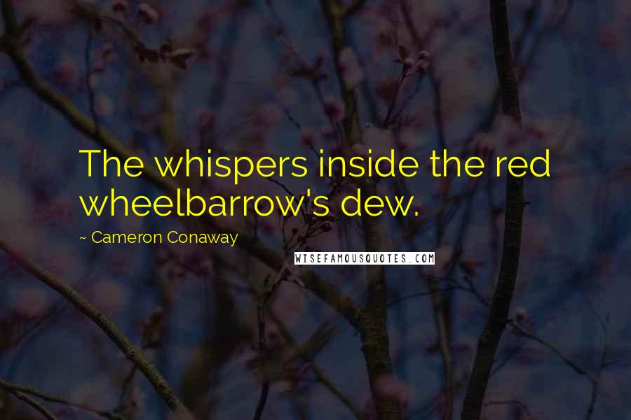 Cameron Conaway quotes: The whispers inside the red wheelbarrow's dew.