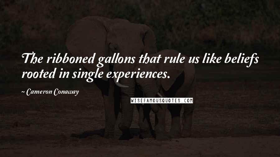 Cameron Conaway quotes: The ribboned gallons that rule us like beliefs rooted in single experiences.