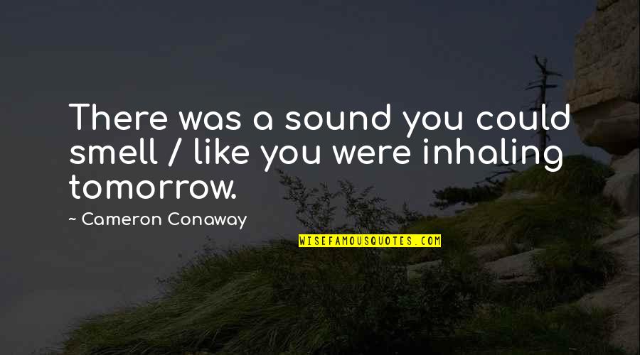 Cameron Conaway Quotes By Cameron Conaway: There was a sound you could smell / Cameron Conaway Quotes By Cameron Conaway: There was a sound you could smell /