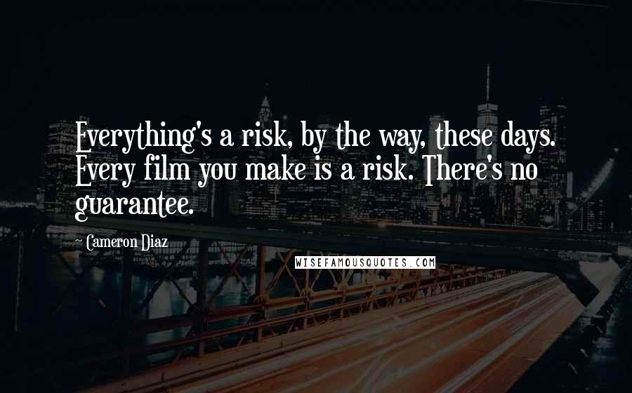 Cameron Diaz quotes: Everything's a risk, by the way, these days. Every film you make is a risk. There's no guarantee.