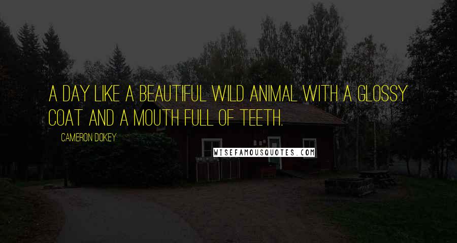Cameron Dokey quotes: A day like a beautiful wild animal with a glossy coat and a mouth full of teeth.