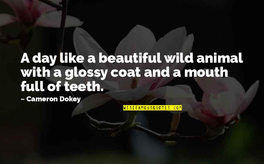 Cameron Dokey Quotes By Cameron Dokey: A day like a beautiful wild animal with