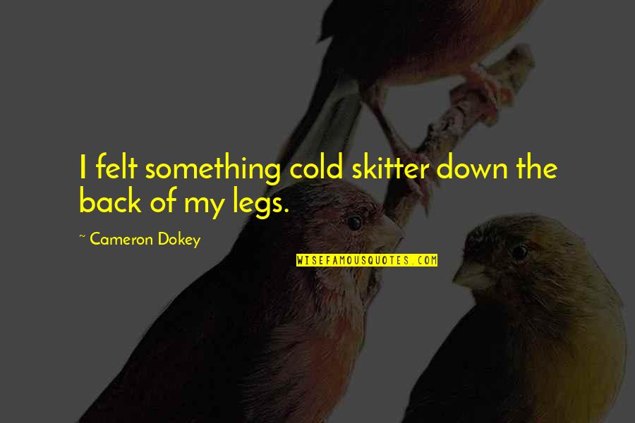 Cameron Dokey Quotes By Cameron Dokey: I felt something cold skitter down the back