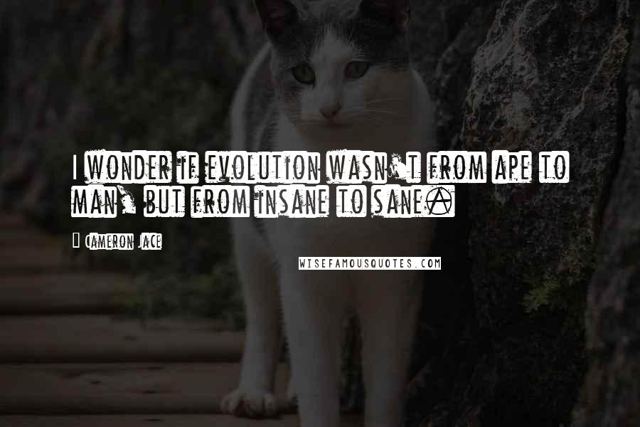 Cameron Jace quotes: I wonder if evolution wasn't from ape to man, but from insane to sane.