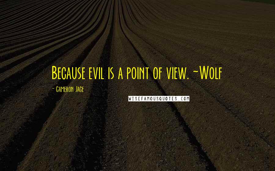 Cameron Jace quotes: Because evil is a point of view. ~Wolf