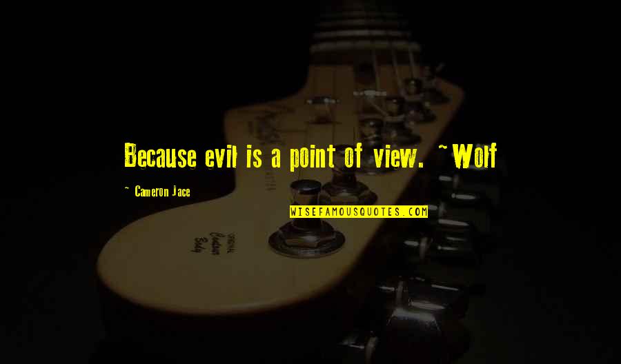 Cameron Jace Quotes By Cameron Jace: Because evil is a point of view. ~Wolf