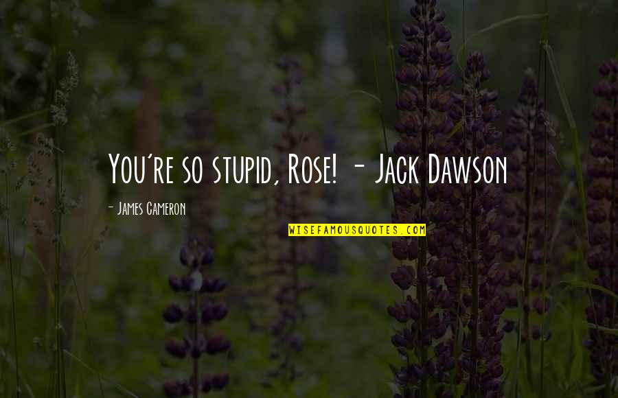 Cameron James Quotes By James Cameron: You're so stupid, Rose! - Jack Dawson