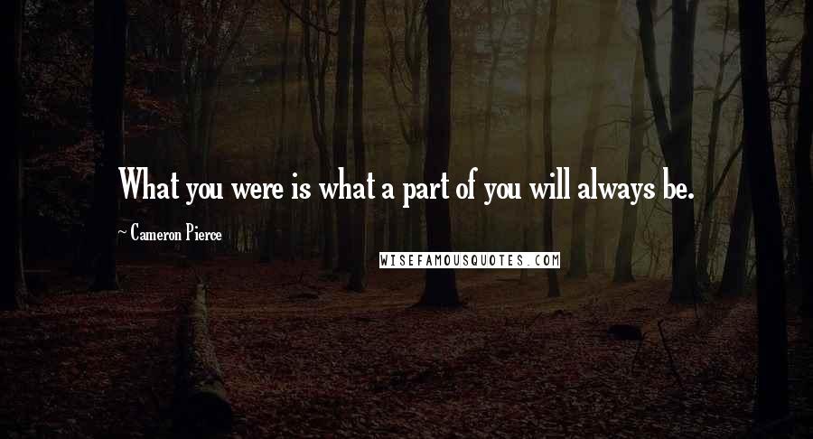 Cameron Pierce quotes: What you were is what a part of you will always be.