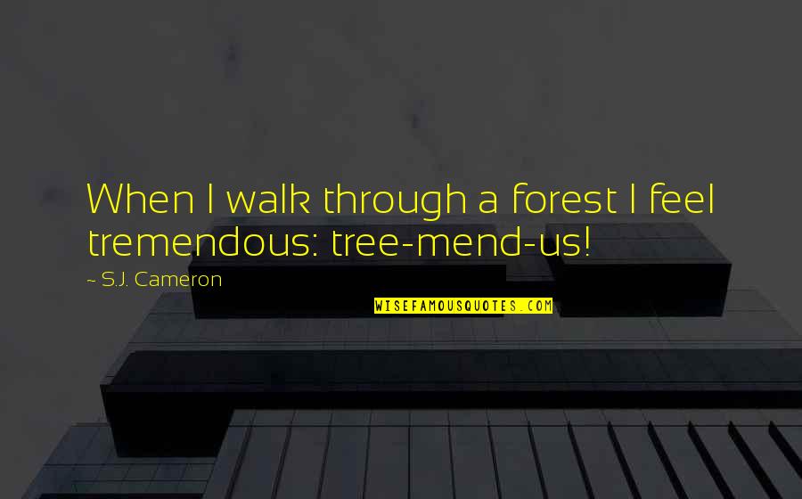 Cameron's Quotes By S.J. Cameron: When I walk through a forest I feel