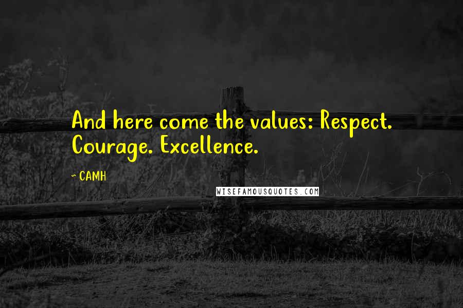 CAMH quotes: And here come the values: Respect. Courage. Excellence.