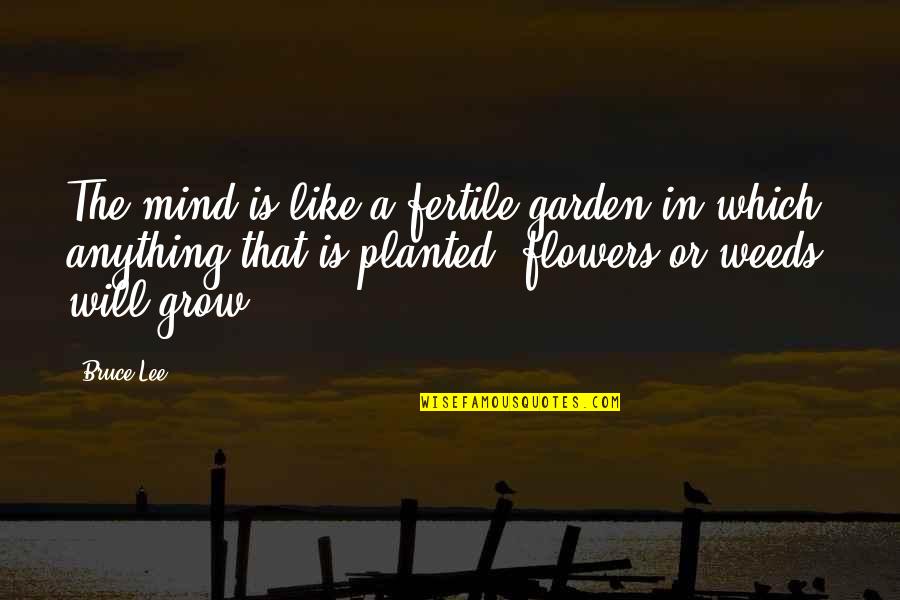 Camher Quotes By Bruce Lee: The mind is like a fertile garden in Camher Quotes By Bruce Lee: The mind is like a fertile garden in