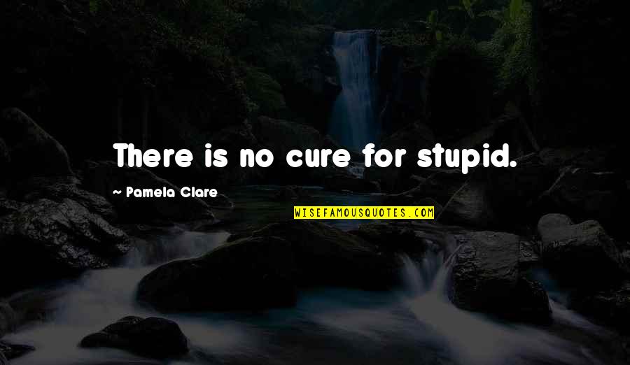 Camilaroma Quotes By Pamela Clare: There is no cure for stupid.