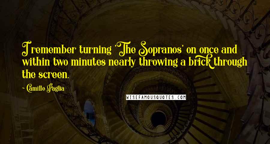 Camille Paglia quotes: I remember turning 'The Sopranos' on once and within two minutes nearly throwing a brick through the screen.