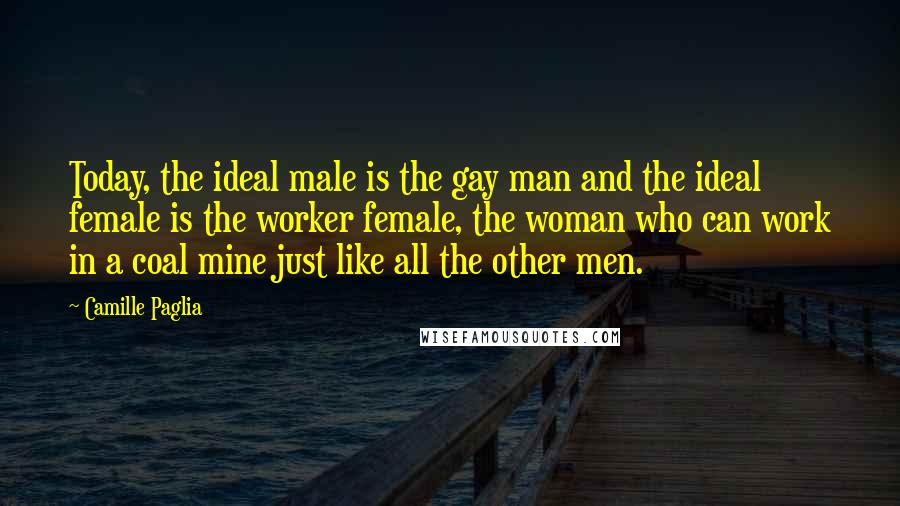 Camille Paglia quotes: Today, the ideal male is the gay man and the ideal female is the worker female, the woman who can work in a coal mine just like all the other