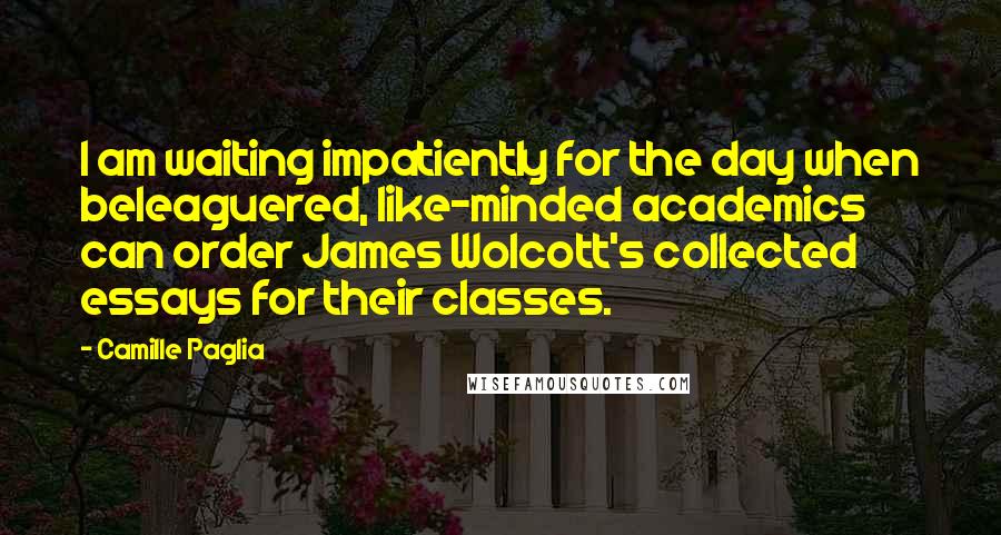 Camille Paglia quotes: I am waiting impatiently for the day when beleaguered, like-minded academics can order James Wolcott's collected essays for their classes.